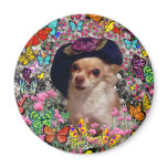 Chi Chi in Butterflies  - Chihuahua Puppy in Hat Magnets