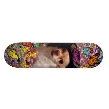 Chi Chi in Butterflies  - Chihuahua Puppy in Hat Skate Boards