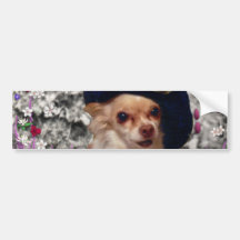 Chi Chi in Flowers  - Chihuahua Puppy in Cute Hat Bumper Sticker