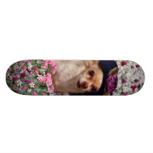 Chi Chi in Flowers  - Chihuahua Puppy in Cute Hat Skate Boards