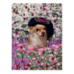 Chi Chi in Flowers Postcard - Chihuahua