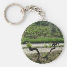 Chianti Vineyard in Tuscany Wine Region Italy Keychain