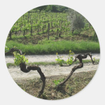 Chianti Vineyard in Tuscany Wine Region Italy Round Sticker
