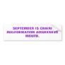 CHIARI AWARENESS BUMPER STICKER