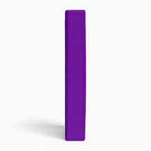 Chiari Picture Album O fWalk's  Acrosss Am... 3 Ring Binder