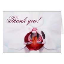 Chic elegant white red orchids thank you cards
