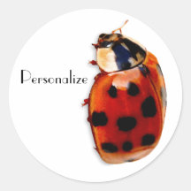 Chic Spotted Ladybug With Name Round Stickers