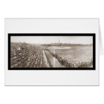 Chicago Cubs Baseball Photo 1904 Card