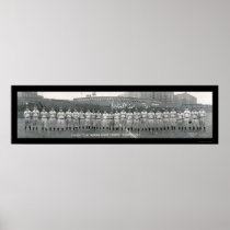 Chicago Cubs Champions Photo 1929 Posters