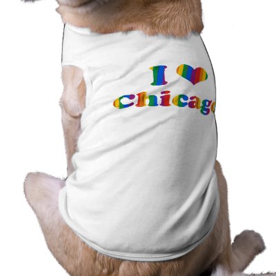 CHICAGO GAY PRIDE by gay_pride