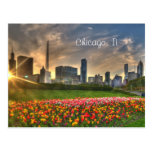 Chicago, IL Postcard