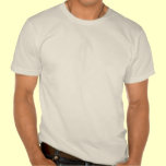 Chicago Irish t shirt t-shirts