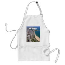 Chicago panoramic view apron