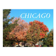 CHICAGO POSTCARD