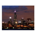 Chicago Skyline Go Sox Post Card