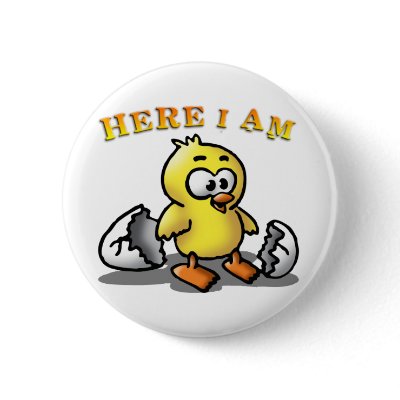 chick anstecknadelbuttons by Axel_67