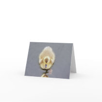 Chick Greeting Card