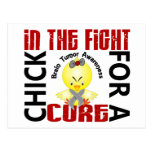 Chick In The Fight Brain Tumour Post Card