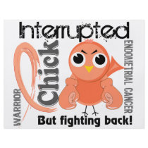 Chick Interrupted 3 Endometrial Cancer