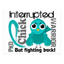 Chick Interrupted 3 PKD Polycystic Kidney Disease Post Cards
