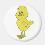 Chick Magnet