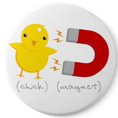 Chick Magnet! Buttons by VectorSmith