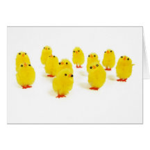 Chick magnet chillin with my peeps funny photo greeting cards