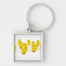 Chick magnet chillin with my peeps funny photo key chains