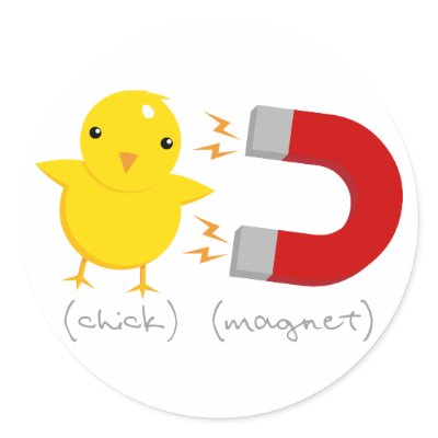 Chick Magnet! Round Sticker by VectorSmith