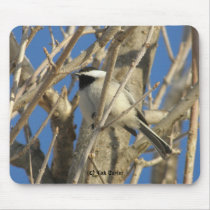 Chickadee #01 mousepads