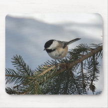 Chickadee 2 mouse pads