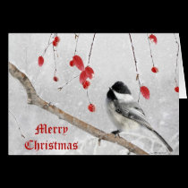 Chickadee Christmas cards