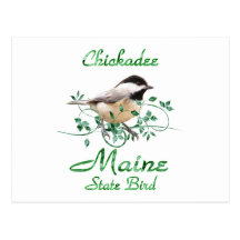 Chickadee Maine State Bird Post Cards