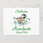 massachusetts state bird