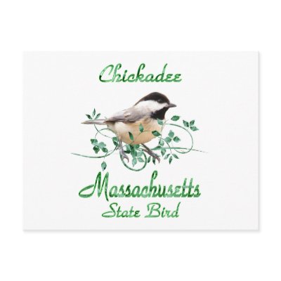 Chickadee Massachusetts State Bird Postcards by TLArnold