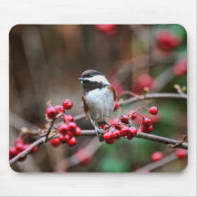 Chickadee on Branch with Red Berries Mousepads