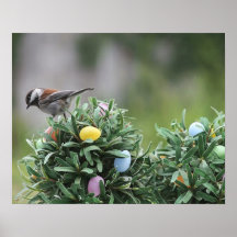 chickadee on Easter egg tree poster