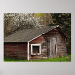 Chicken Coop in Spring Posters