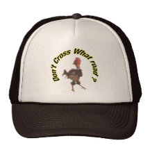 Chicken cross the road hats