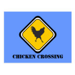 Chicken Crossing Post Cards