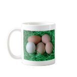 Chicken Eggs Coffee Mugs
