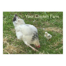 Chicken farm business card