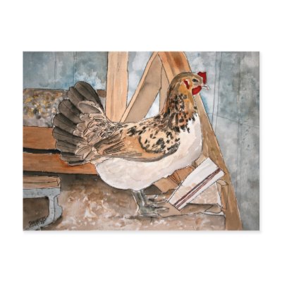 chicken hen art pet portrait post card cards art by dereklovessheila