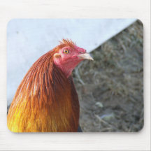 Chicken Mousepad
