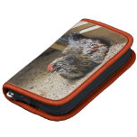 Chicken Organizers