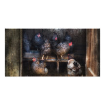Chicken - The Hen House Customized Photo Card