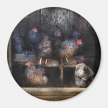 Chicken - The Hen House Magnet