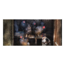 Chicken - The Hen House Rack Card