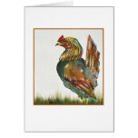 Chicken White Background Greeting Cards