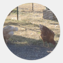 Chickens Round Sticker